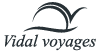 Vidal Voyages logo
