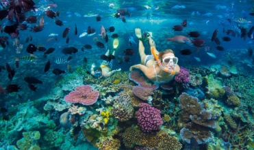 poly_cocktails_de_plonge