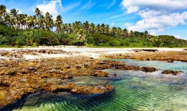 A la découverte du Vanuatu  vanuatu_2