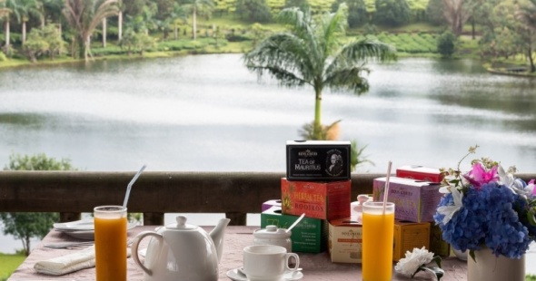 bubble-lodge-ile-maurice-degustation-de-th