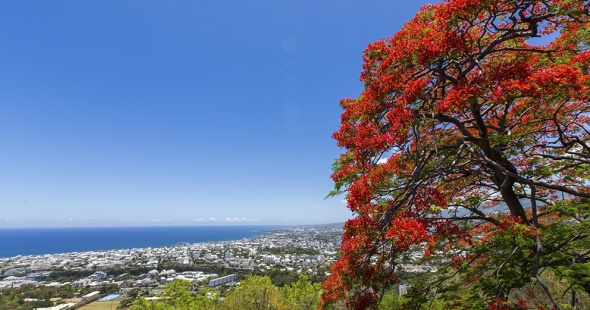 la-reunion-circuit-regroupe-decouverte_0000_photo_vignette