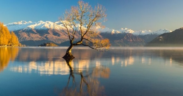 lake_wanaka_1_1_820977061