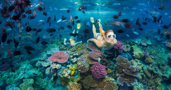 poly_cocktails_de_plonge