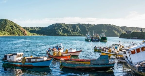 puerto_montt_230866569