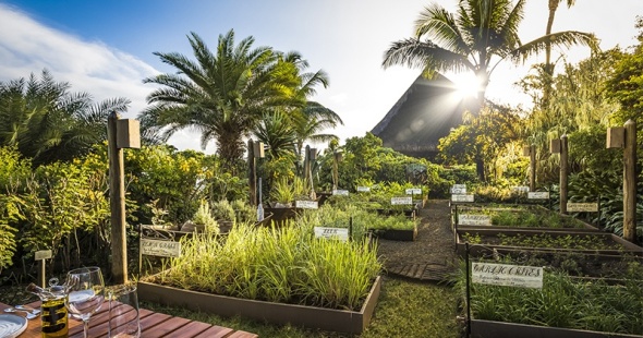 the-oberoi-mauritius-ile-maurice-the-herb-trail